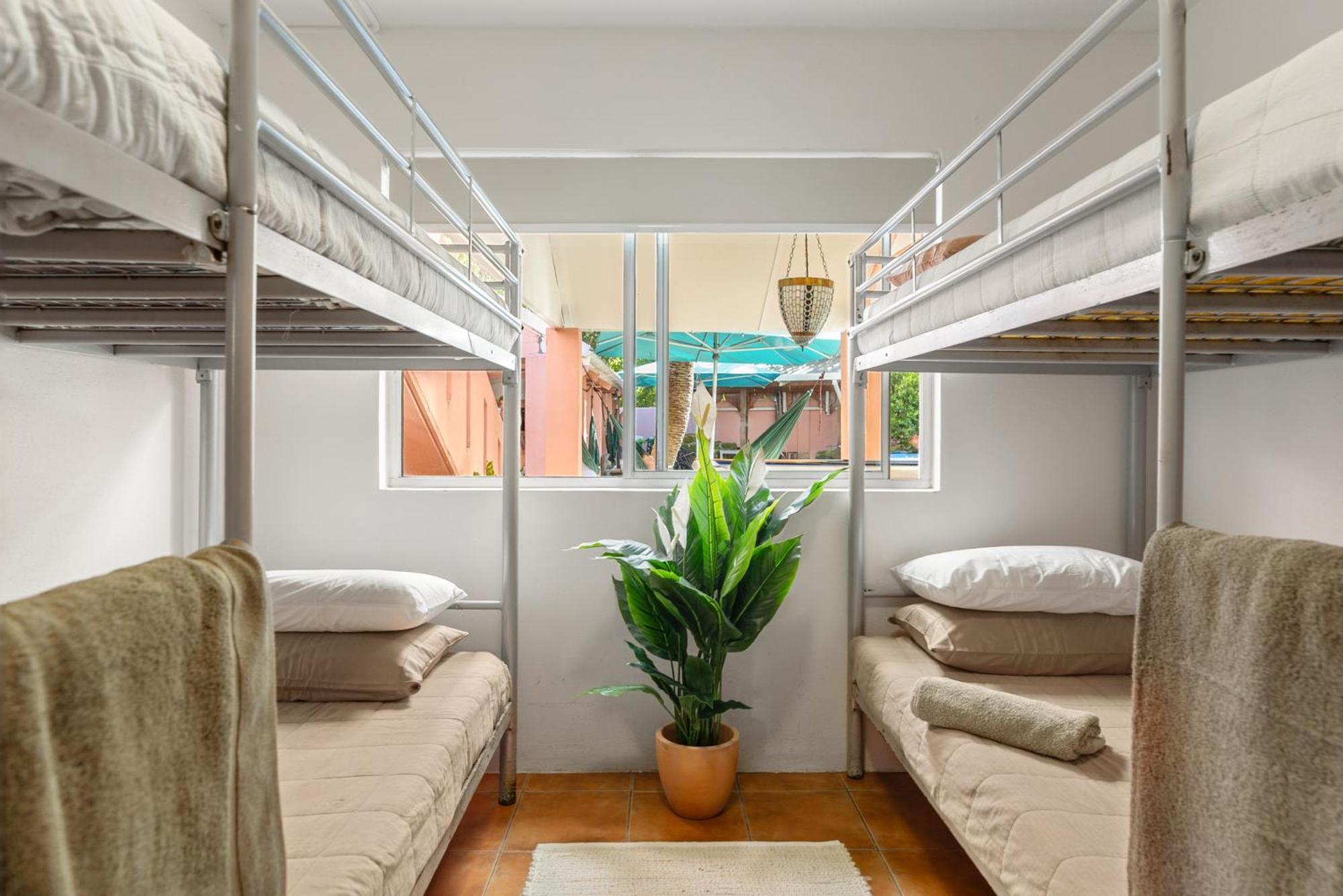 Bed 5-Bed Dormitory Room,1765723927:JPEG